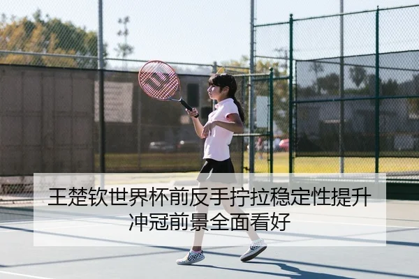 王楚钦世界杯前反手拧拉稳定性提升 冲冠前景全面看好